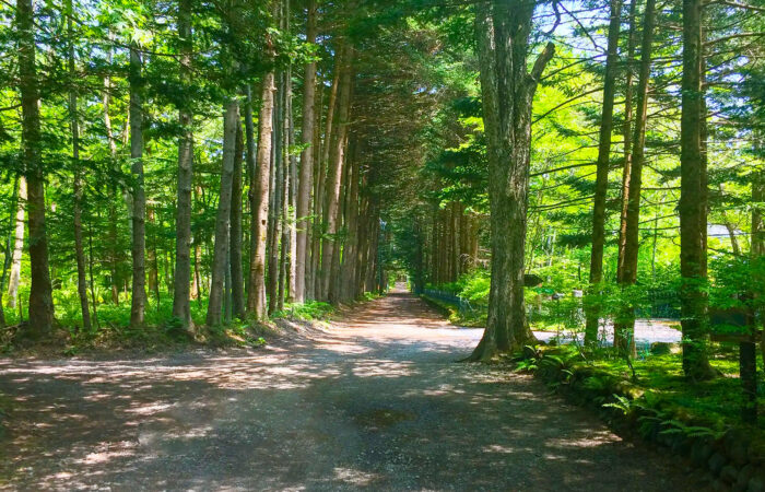 2旧軽井沢銀座通り