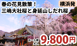 三嶋大社と身延山久遠寺