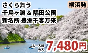 「千鳥ヶ淵」「隅田公園」と名所”豊洲千客万来”