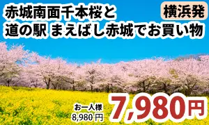 横浜発　桜のトンネル“赤城南面千本桜”と話題の道の駅「まえばし赤城」でお買い物＆群馬の人気お土産ガトーフェスタハラダの工場見学ツアー