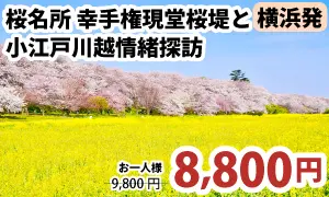 横浜発　関東屈指の桜名所・幸手権現堂桜堤と小江戸川越情緒探訪