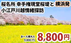 横浜発　関東屈指の桜名所・幸手権現堂桜堤と小江戸川越情緒探訪