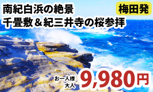 梅田発　南紀白浜の絶景・千畳敷＆紀三井寺の桜参拝～種類豊富なランチバイキング付♪～