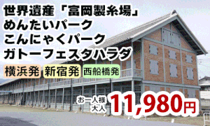 世界遺産「富岡製糸場」と群馬の大人気3工場見学～めんたいパーク・こんにゃくパーク・ガトーフェスタハラダ～