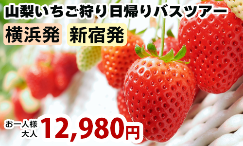 山梨いちご狩り日帰りバスツアー