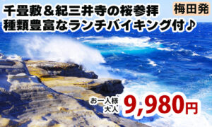 梅田発　南紀白浜の絶景・千畳敷＆紀三井寺の桜参拝～種類豊富なランチバイキング付♪～