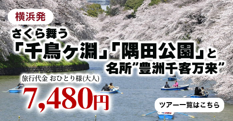 さくら舞う「千鳥ヶ淵」「隅田公園」と新名所”豊洲千客万来”
