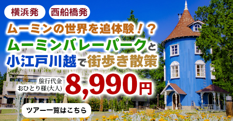 北欧童話ムーミンの世界をダブル満喫！ムーミンバレーパーク＆トーベ・ヤンソンあけぼの子どもの森公園探訪と小江戸川越散策
