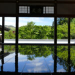 宝徳寺床もみじ