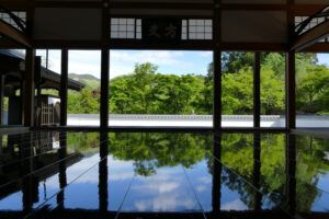 宝徳寺床もみじ