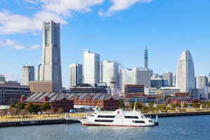 シーバス