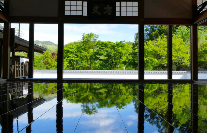 宝徳寺床もみじ