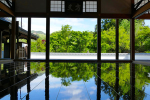 宝徳寺床もみじ