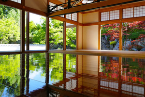 宝徳寺床もみじ