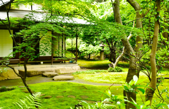 旧古河庭園