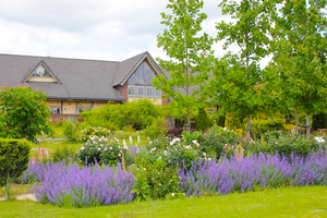 松阪農業公園ベルファーム