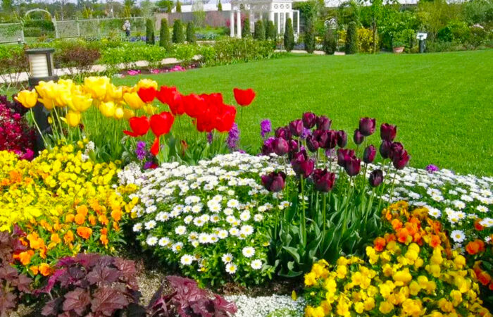 松阪農業公園ベルファーム