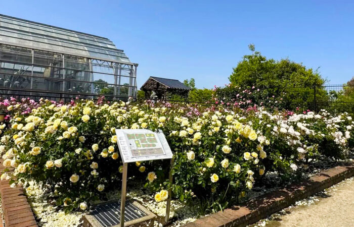 松阪農業公園ベルファーム