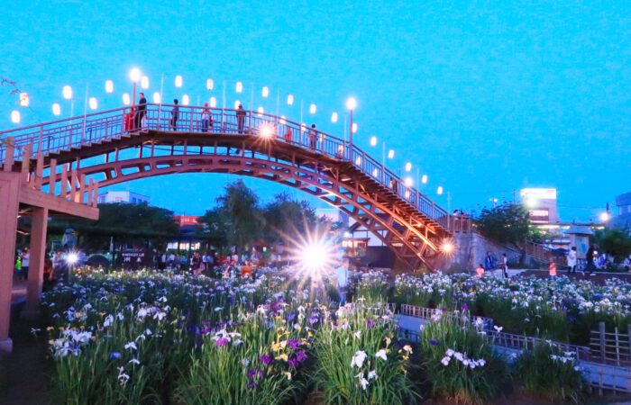 水郷潮来あやめまつり