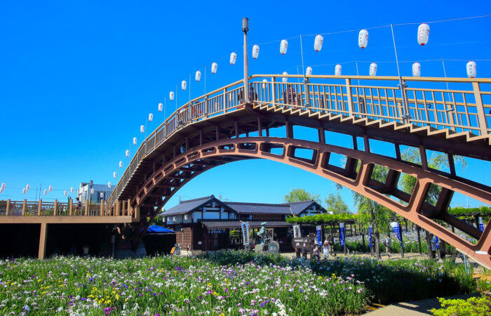 水郷潮来あやめまつり