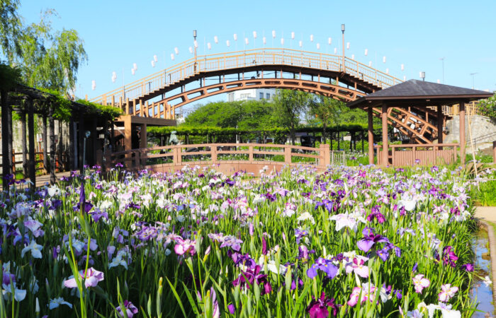 水郷潮来あやめまつり