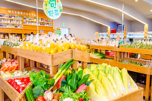 道の駅　いたこ