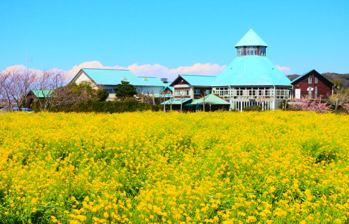 道の駅とみうら　枇杷倶楽部