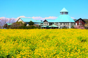 道の駅とみうら　枇杷倶楽部