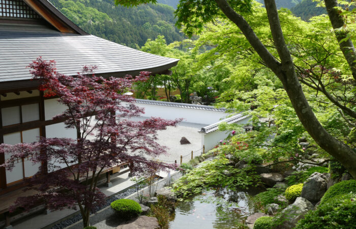 宝徳寺床もみじ