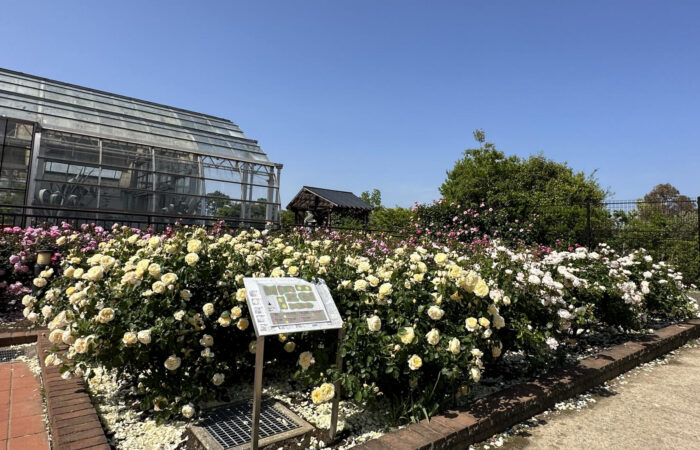 松阪農業公園ベルファーム
