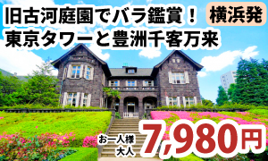 横浜発　気品あふれる「旧古河庭園」バラ鑑賞！「東京タワー」と「豊洲千客万来」［A320-Y］