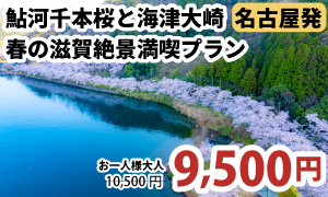 名古屋発　鮎河千本桜＆海津大崎
鮎河千本桜と海津大崎を巡る日帰りバスツアー　春の滋賀絶景満喫プラン