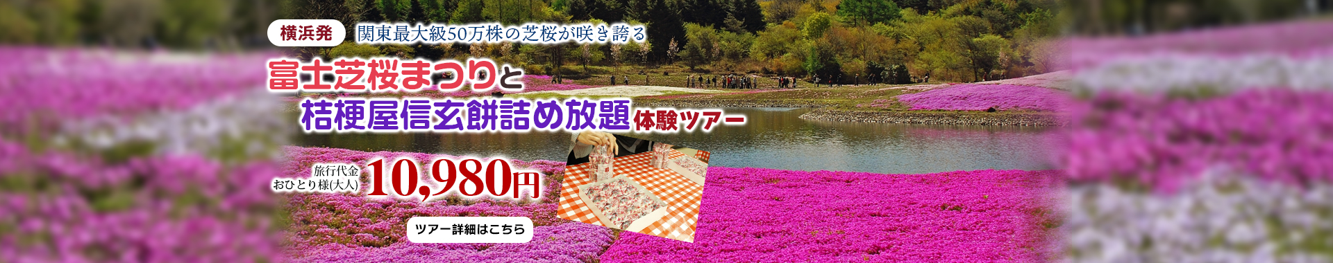 横浜発　関東最大級50万株の芝桜が咲き誇る「富士芝桜まつり」と桔梗屋信玄餅詰め放題体験ツアー