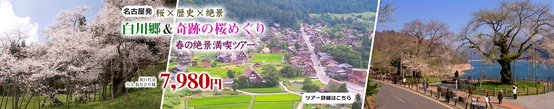 名古屋発　桜×歴史×絶景 白川郷＆奇跡の桜めぐり　春の絶景満喫ツアー
