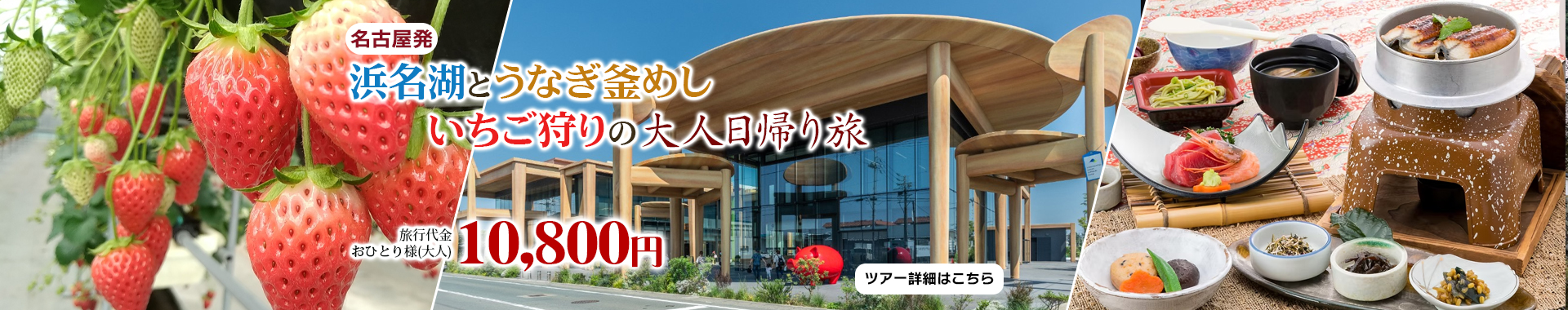 名古屋発　ゆったり楽しむ 浜名湖とうなぎ釜めし・いちご狩りの大人日帰り旅