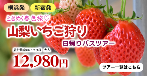 ときめく春色旅♡ 山梨いちご狩り日帰りバスツアー