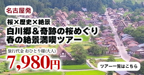 名古屋発　桜×歴史×絶景 白川郷＆奇跡の桜めぐり　春の絶景満喫ツアー