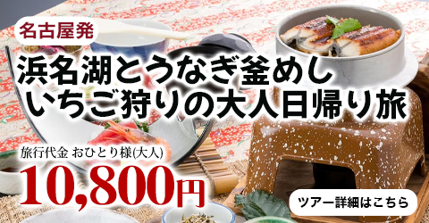 名古屋発　ゆったり楽しむ 浜名湖とうなぎ釜めし・いちご狩りの大人日帰り旅