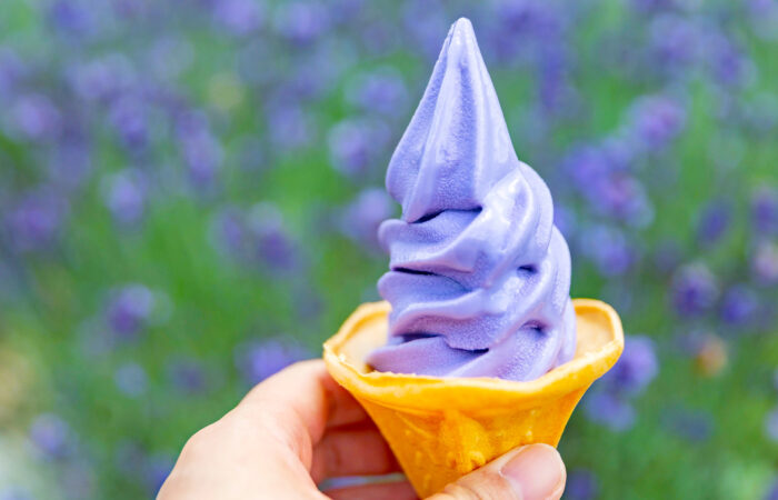 たんばらラベンダーパーク