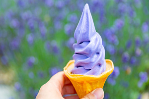 たんばらラベンダーパーク