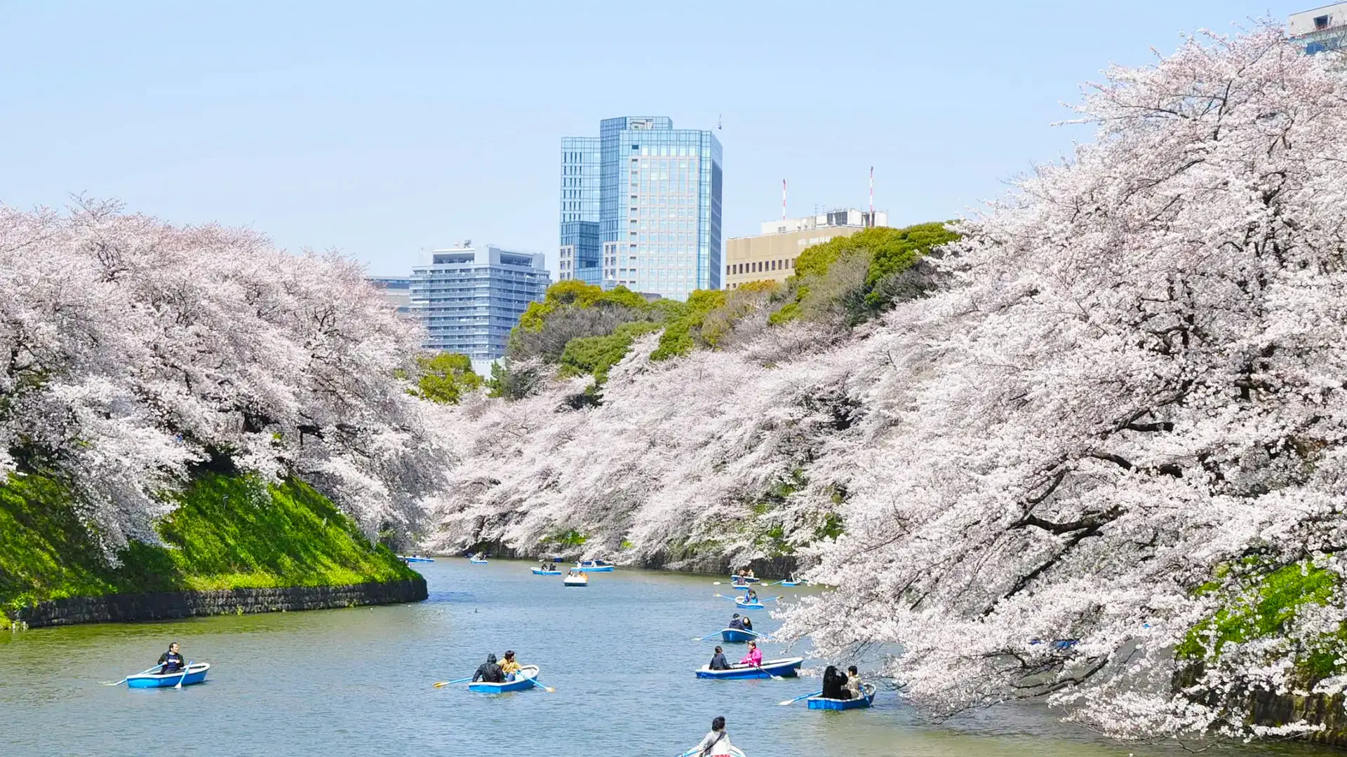 千鳥ヶ淵と隅田公園・豊洲千客万来