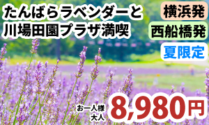 夏限定！紫の絶景とグルメ天国へ！　たんばらラベンダーと川場田園プラザ満喫ツアー