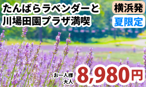 夏限定！紫の絶景とグルメ天国へ！　たんばらラベンダーと川場田園プラザ満喫ツアー