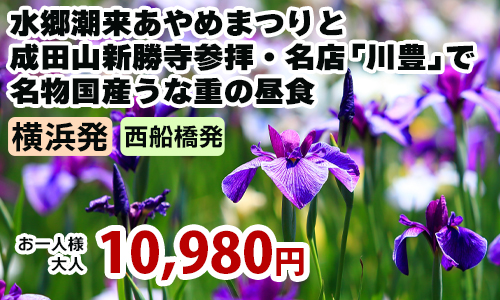 横浜発　水郷潮来あやめまつりと成田山新勝寺参拝・名店「川豊」で名物国産うな重の昼食