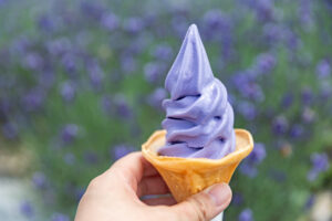 たんばらラベンダーパーク