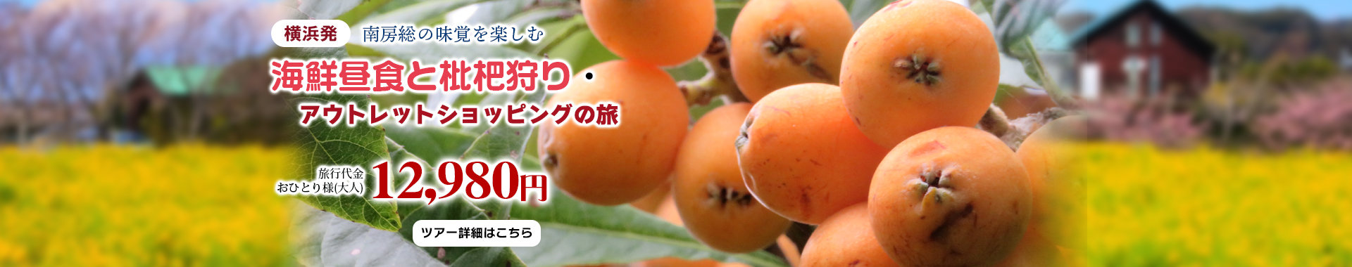 横浜発　南房総の味覚を楽しむ　海鮮昼食と枇杷狩り・アウトレットショッピングの旅