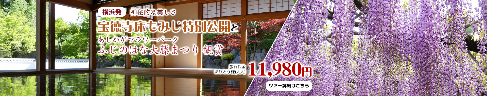 横浜発　神秘的な美しさ宝徳寺床もみじ特別公開とあしかがフラワーパーク「ふじのはな大藤まつり」観賞