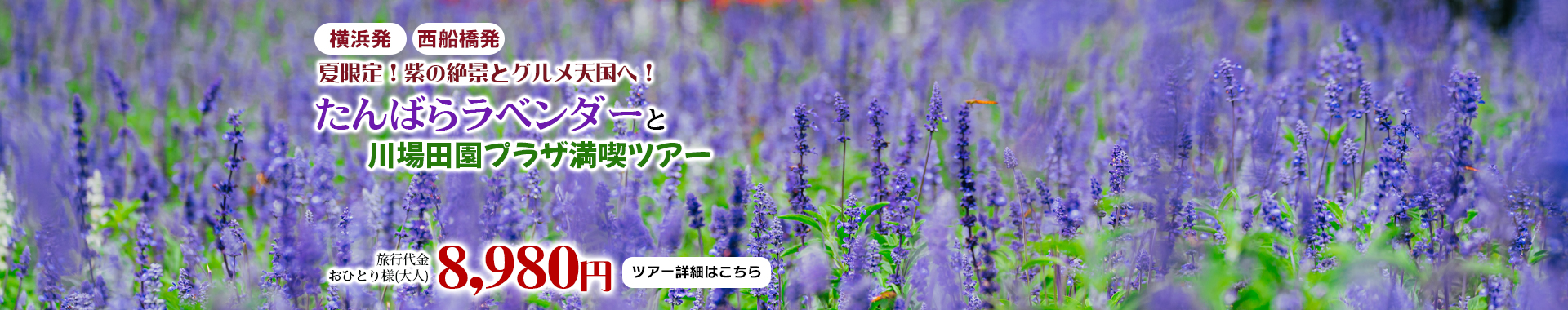 夏限定！紫の絶景とグルメ天国へ！　たんばらラベンダーと川場田園プラザ満喫ツアー