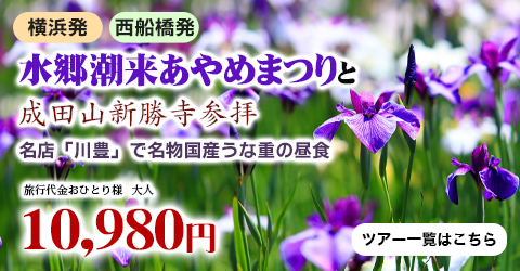 水郷潮来あやめまつりと成田山新勝寺参拝・名店「川豊」で名物国産うな重の昼食
