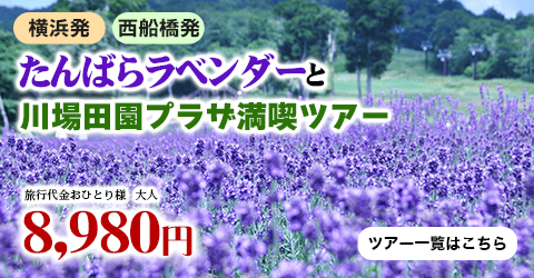 夏限定！紫の絶景とグルメ天国へ！　たんばらラベンダーと川場田園プラザ満喫ツアー